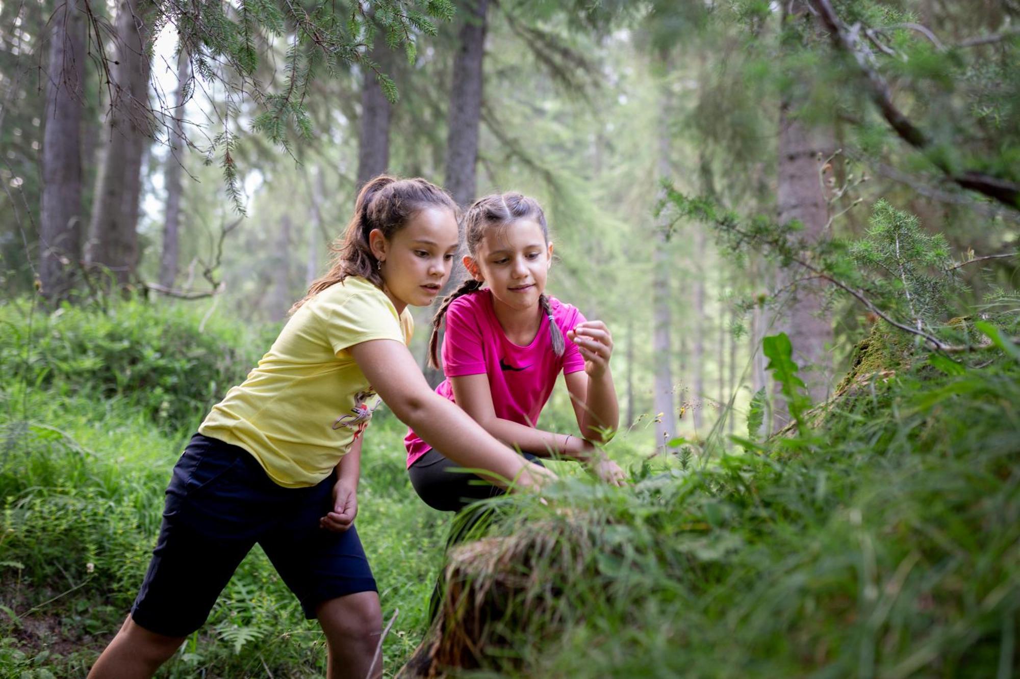 Naturae Lodge Wellness & Spa Alleghe Luaran gambar