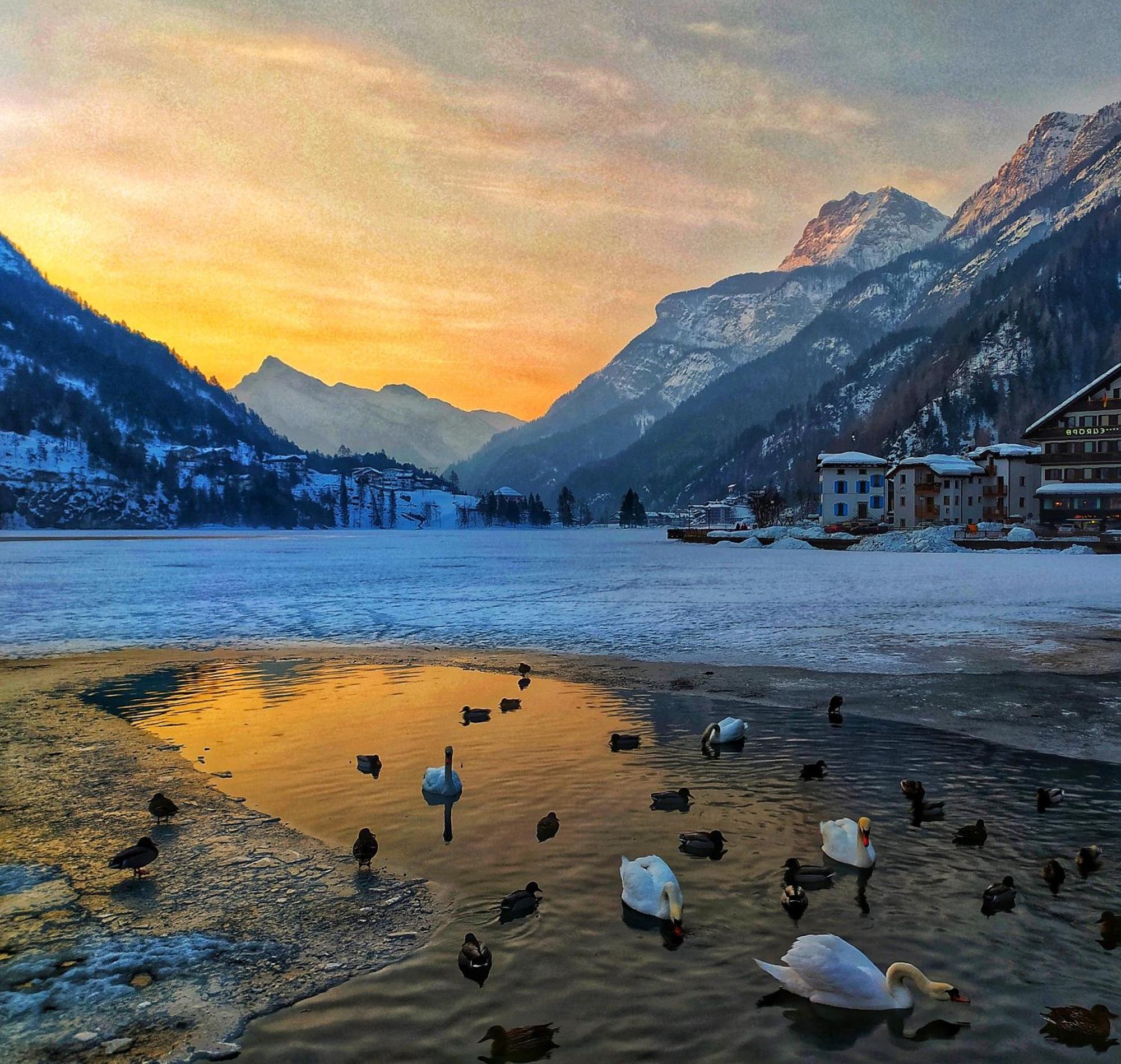 Naturae Lodge Wellness & Spa Alleghe Luaran gambar